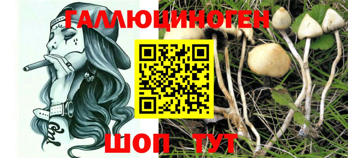 Галлюциногенные грибы мухоморы Глазов