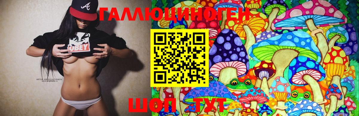 Глазов  Галлюциногенные грибы Magic Shrooms  купить закладку  Вход с VPN  Псилоцибиновые грибы мухоморы 